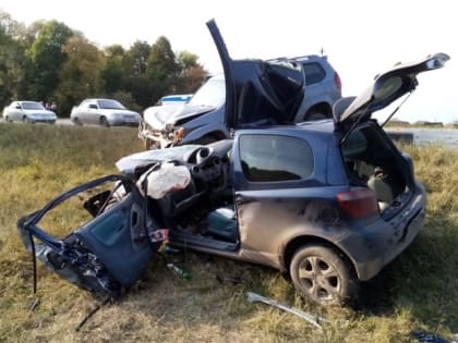 В ДТП на севере Омской области между внедорожником «Лексус» и «Витц» погиб человек (фото)