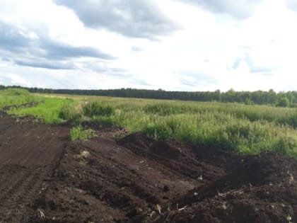 В Омской области за 3 миллиона продают крупнейшее месторождение торфа