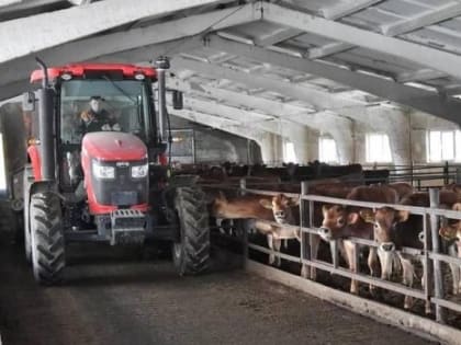 В Омской области аграрии косили посевы зерновых для прокорма скота