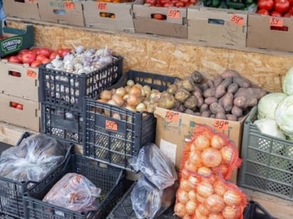 Каторфель, огурцы и морковь резко подорожали в Новосибирской области