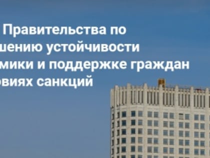 Основные меры Правительства России по повышению устойчивости развития российской экономики в условиях санкций