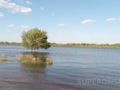 Соседний с Омском Петропавловск уходит под воду