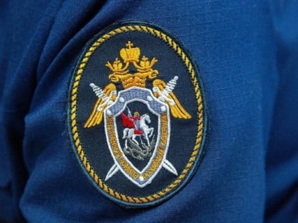 Глава СКР распорядился завести уголовное дело на экс-мужа актрисы из Омска Дарьи Мельниковой