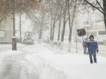 В Омске за три миллиона рублей ищут подрядчика для вывоза снега