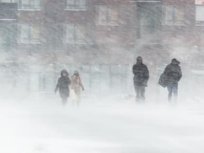 На трассах Омской области из-за снежной бури остановлено автомобильное движение