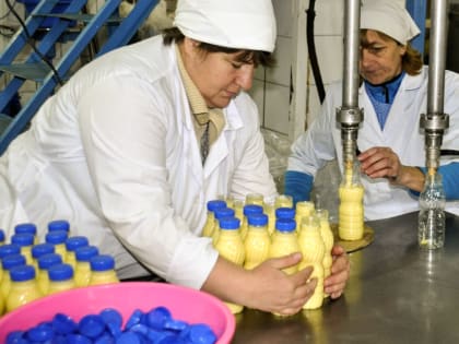 Сливочный регион. Омичи стали производить больше сыра, молока и сметаны