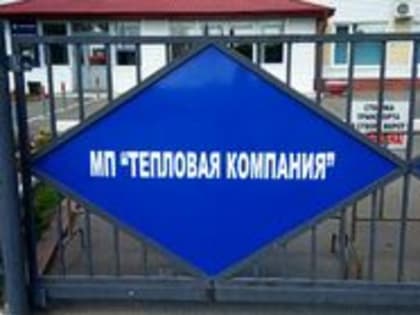 Омскую «Тепловую компанию» хочет банкротить «Тэсла»