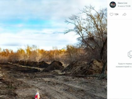 В омском Парке Победы начали вырубать деревья для новой развязки