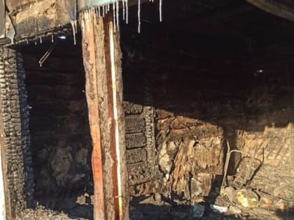 В Омской области за два дня на пожарах погибли три человека