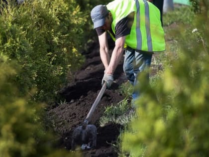 В центре Омска облагородят пешеходную улицу