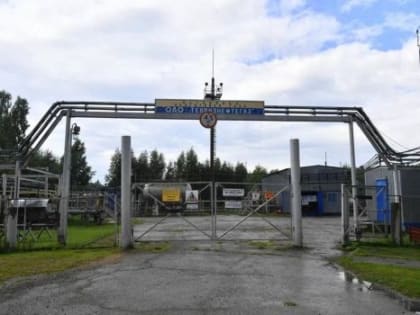 Тевризское месторождение будет работать до 2025 года