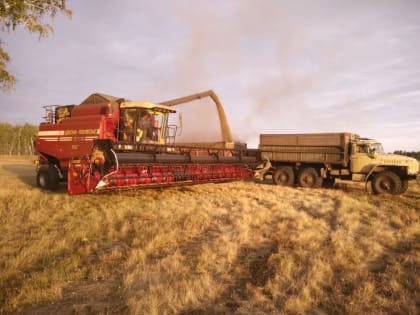 Омские аграрии собрали первый миллион тонн зерна