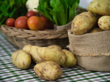 В Омской области площадь возделывания картофеля и овощей вырастет на 1 000 гектаров