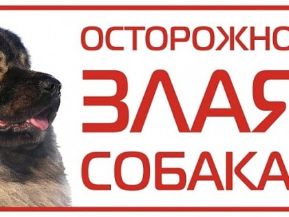 ЧТО НУЖНО ДЕЛАТЬ,ЕСЛИ НАПАДАЕТ СОБАКА/СТАЯ СОБАК!?