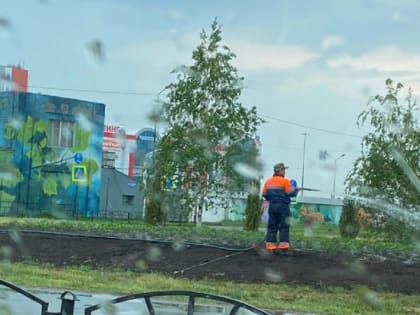 В Омске под дождём поливали цветы из шланга и мыли дороги