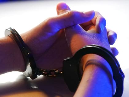 Омич украл у знакомой мотоблок, велосипед и семь рулонов обоев