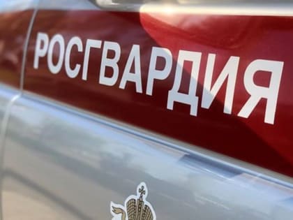 Хотел взять в долг, но украл: омские росгвардейцы задержали воришку алкоголя