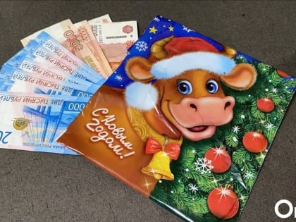 Компании депутатов из Новосибирска увеличили прибыль за 2022 год