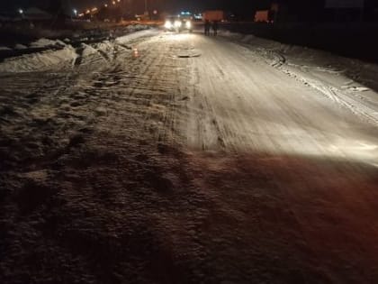 Раритетная «Волга» насмерть сбила пешехода