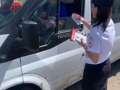 Мэрия будет отслеживать и лишать работы перевозчиков, которые нелегально все еще работают в центре Омска