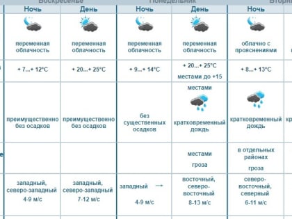 Потепление с грозой. Омичам пообещали влажную и жаркую погоду, как в Сочи