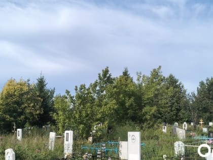 СК начал проверку из-за осквернения могил под Новосибирском