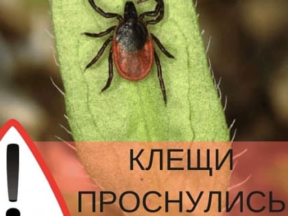 Осторожно – клещи!