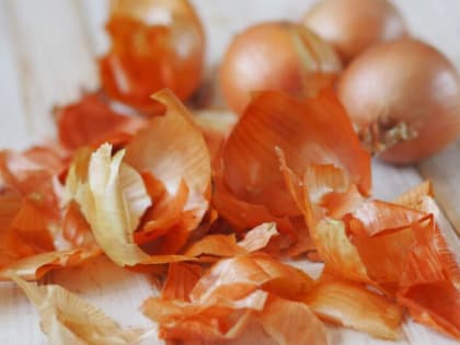 Использование луковой шелухи в домашних условиях