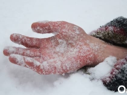 Соцсети: на остановке в Омске обнаружили труп