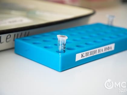 Роспотребнадзор рекомендует: как безопасно отдохнуть на природе