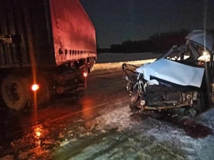 ДТП на федеральной трассе в Омской области унесло жизнь погибли 2 молодых мужчин