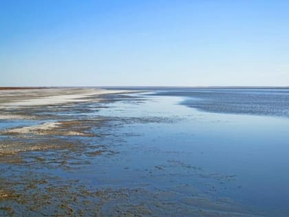 «Омское лекарство» будет использовать воду озера Эбейты для своих препаратов