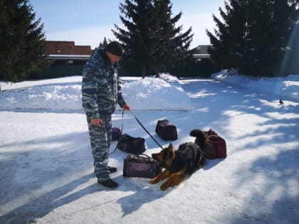 Воспитанники детского дома побывали в гостях у полицейских-кинологов