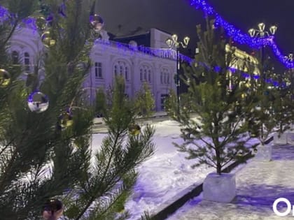 В новогодние каникулы омичей ждёт резкое потепление до +1