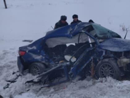 Три человека погибли: омичка спровоцировала аварию на трассе