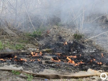 Огонь вплотную подошёл к жилым домам на севере Омской области