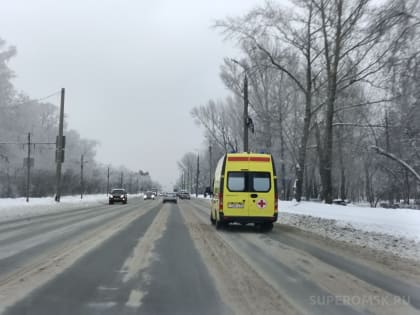 Медики скорой на трассе спасли замерзающую собаку