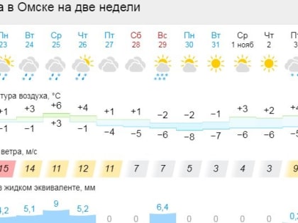 В Омске выпал первый снег