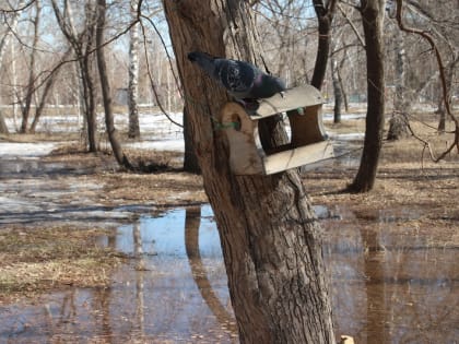 В Омске после летней жары похолодает до -9 градусов