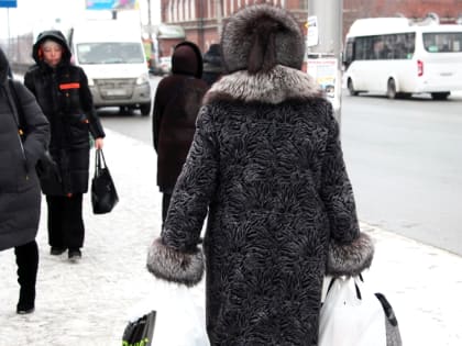 Депутат сообщила о готовности бюджета к индексации пенсии