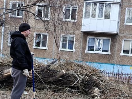 Средник чистоты