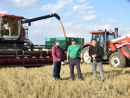 Уборка в разгаре