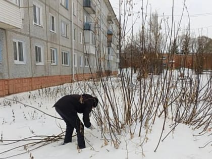 Подготовка к весне началась