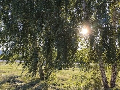 Стало известна дата прихода в Омск бабьего лето