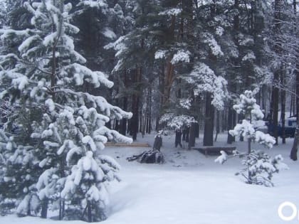 Похолодание до -31 градуса обещают новосибирцам в январе 2023 года