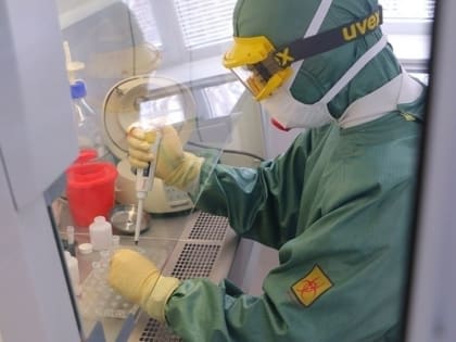 В двух селах Омской области установили карантин по бешенству