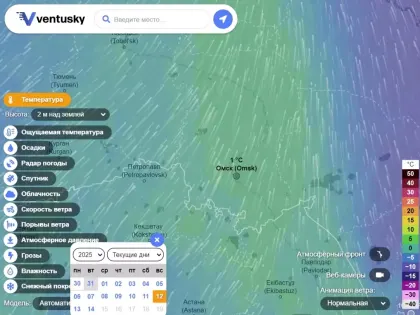 На январских праздниках омичей ждет плюсовая температура