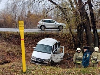 В Омске автоледи опрокинула иномарку: пострадали трое детей