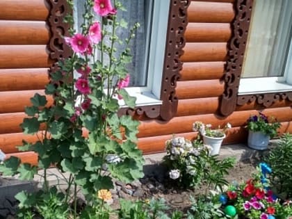 Говорим «СПАСИБО!»