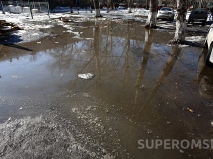 В районе Омской области вводится режим ЧС из-за паводка